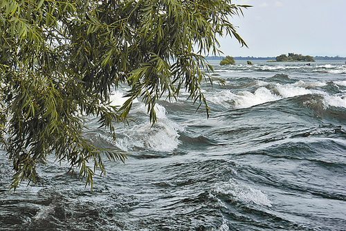 Sault Saint-Louis – Parc des Rapides, Ville LaSalle, Montréal, Québec