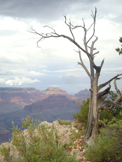 grand canyon 304