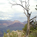 grand canyon 304