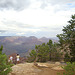 grand canyon 294
