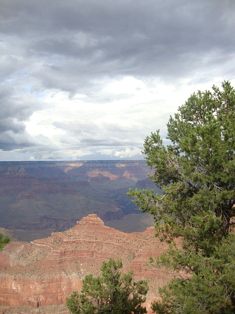 grand canyon 301