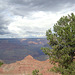 grand canyon 301