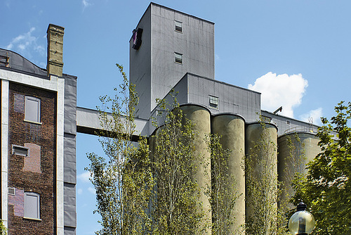 Robin Hood Flour Mill – Montréal, Québec