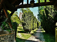 st.peter and st. paul's church, shoreham