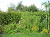Blumenstück