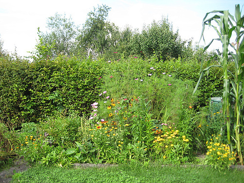 Blumenstück