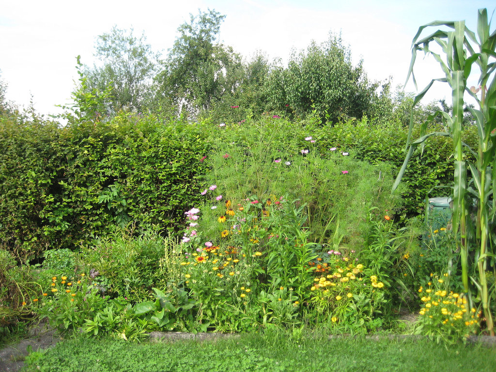 Blumenstück