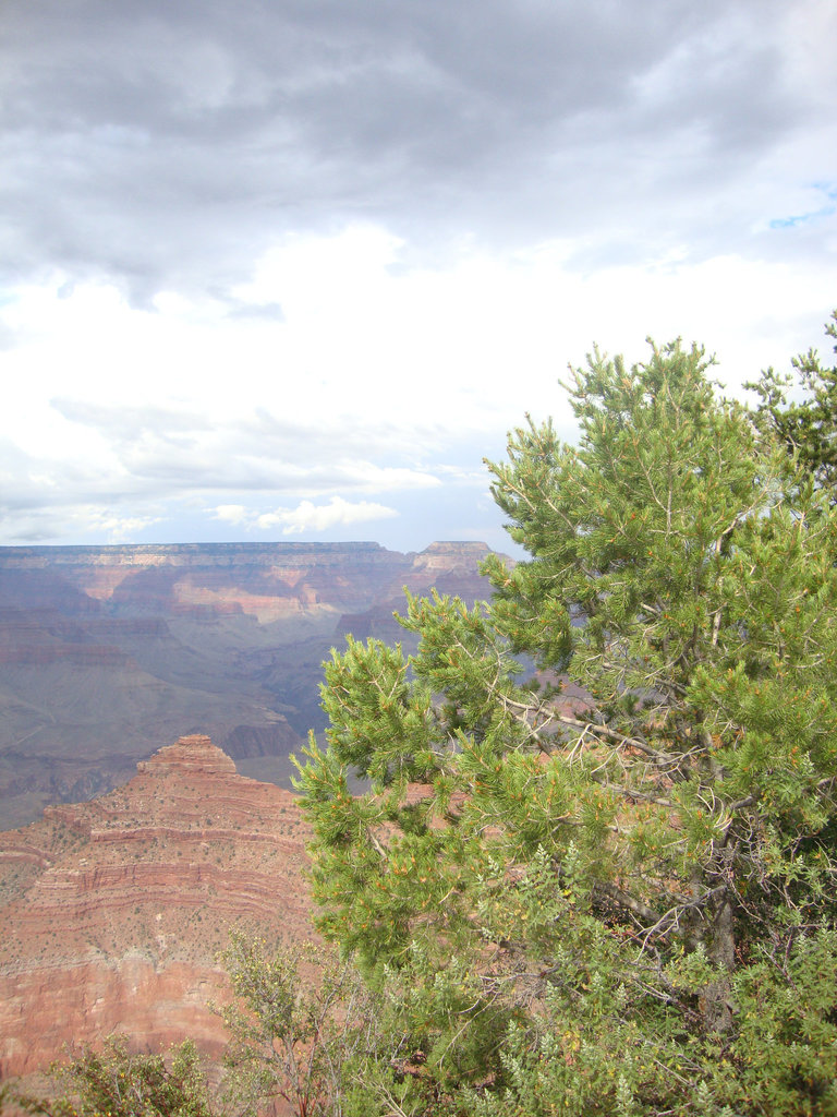 grand canyon 298