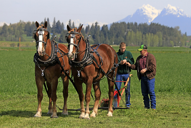 Handing Over the Reins