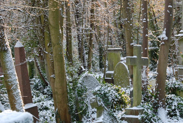 Snow on the headstones