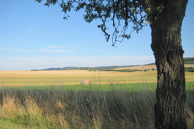 Auf dem Weg nach Quedlinburg