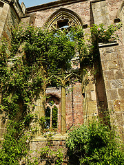 nymans