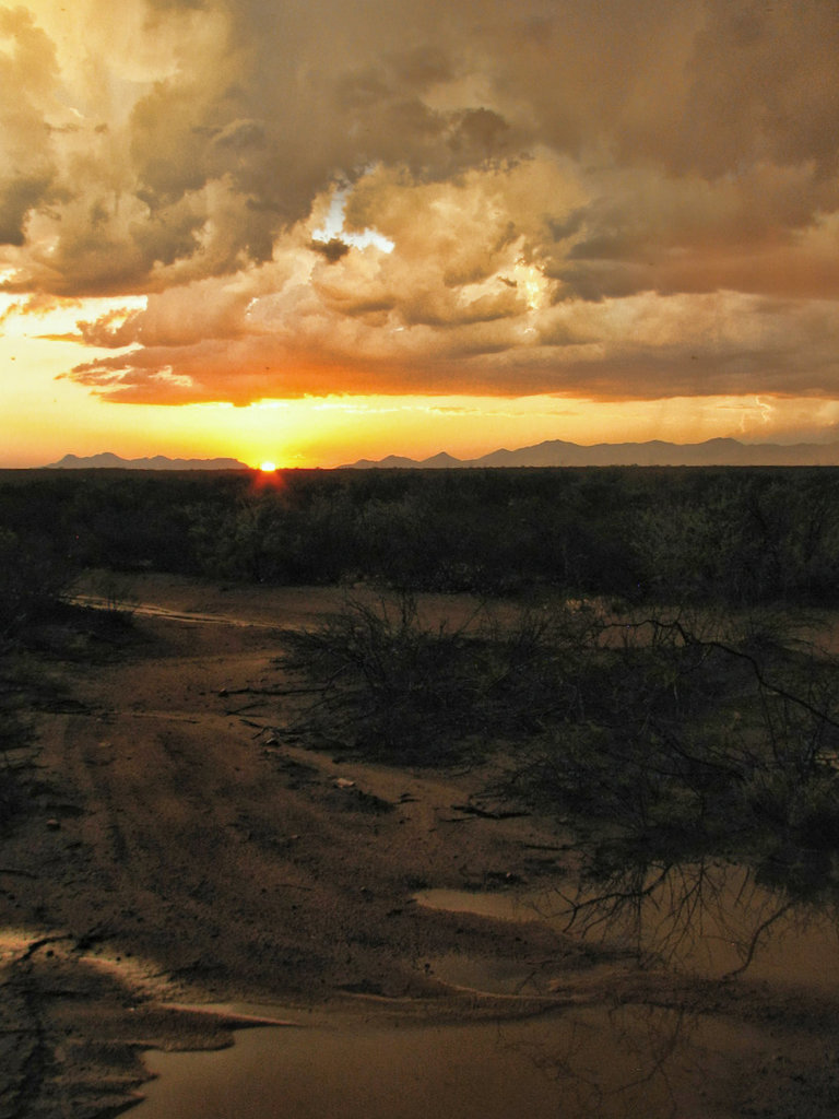 Monsoon Mud Puddle