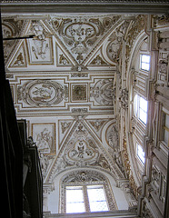 Cathedral Ceiling