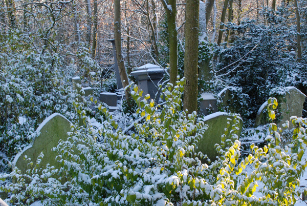 Snow on the headstones