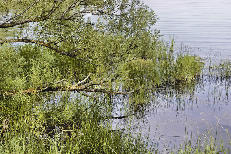 At the River's Edge – Parc des Rapides, Ville LaSalle, Montréal, Québec