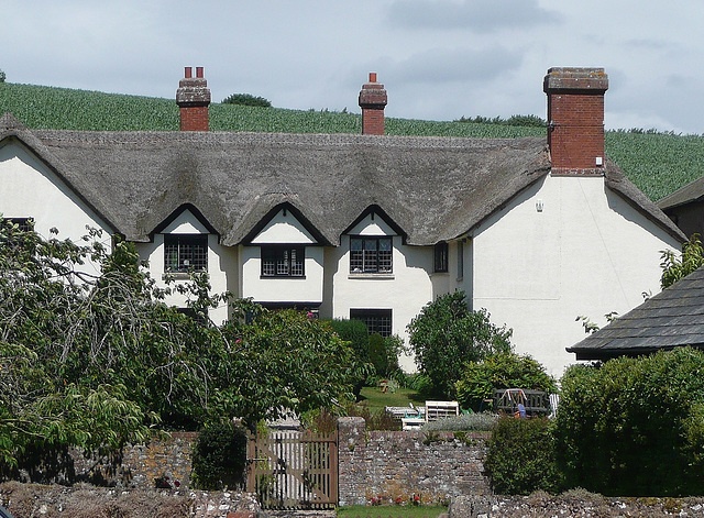 hayes barton, east budleigh