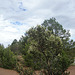 grand canyon 293
