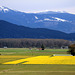 Skagit Valley