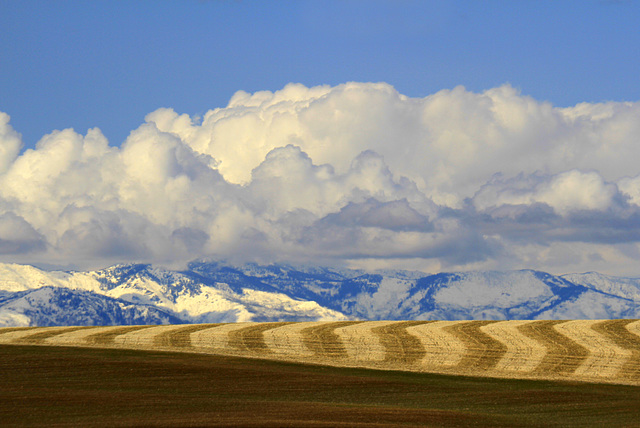 Eastern Washington