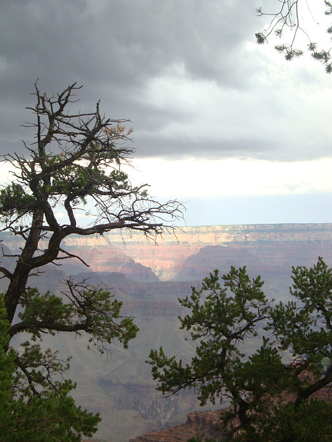 grand canyon 278