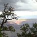 grand canyon 278