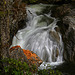 Wallace Falls