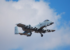 Michigan Air National Guard Fairchild A-10 Thunderbolt