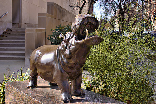 The Hippopotamus – H Street and 21st Street N.W., Washington D.C