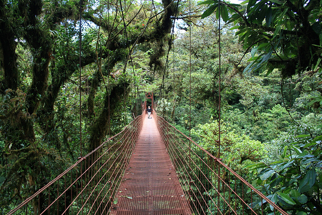 Suspension Bridge