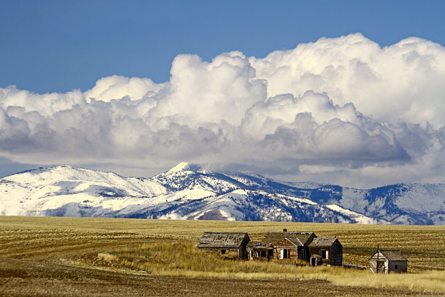 Columbia Plateau