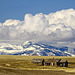 Columbia Plateau