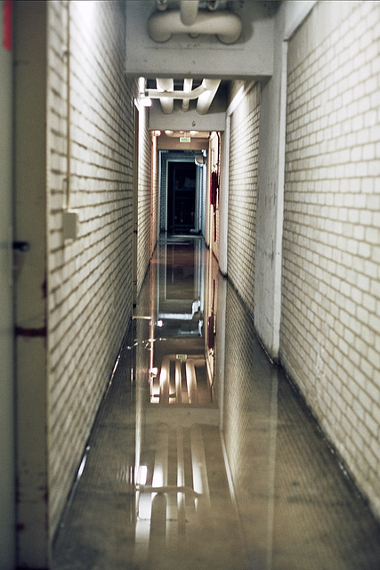 Solving our archive space problem at work: flooding the cellar