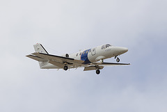 Cessna Citation II N4614N