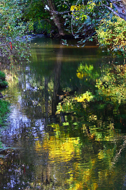 Fishtrap Creek Autumn Reflections