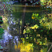 Fishtrap Creek Autumn Reflections