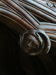 exeter cathedral