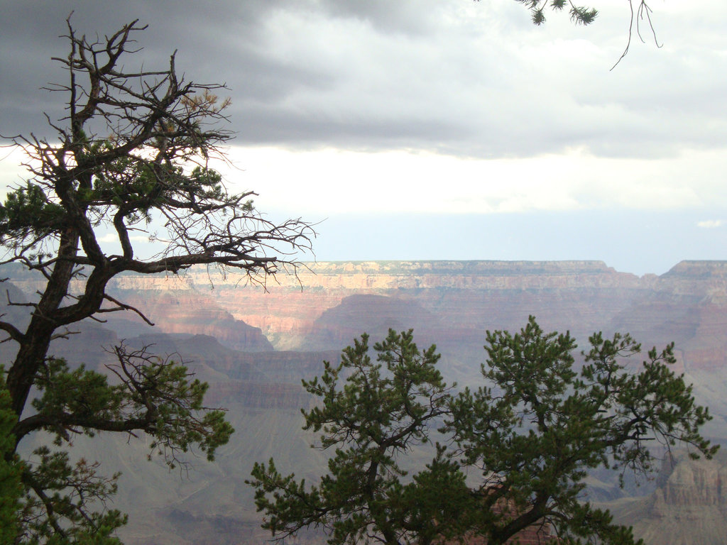 grand canyon 277