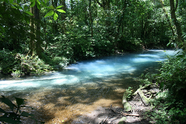 Confluence Of Clear And Milky