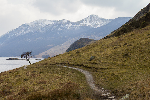 Crummock Water Shore