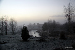 Foggy winter afternoon by the troutpond