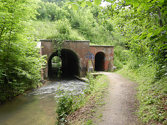 Chemin de la sorcière