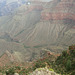 grand canyon 261