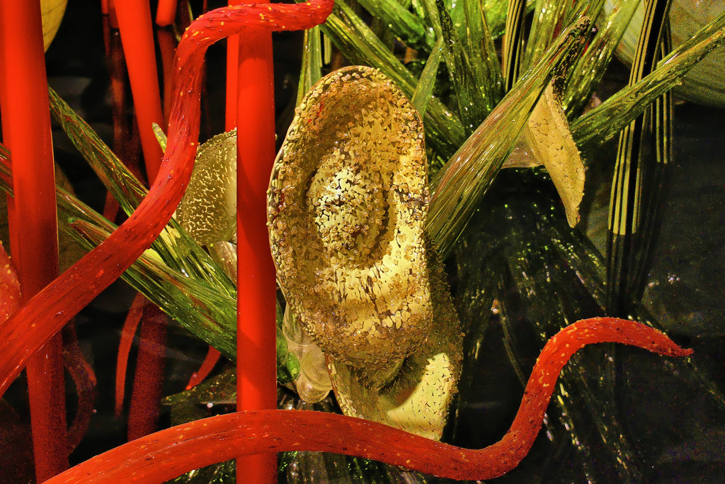 Golden Ears – Chihuly's "Mille Fiori", Museum of Fine Arts, Boston, Massachusetts