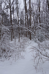 Saint Paddy's Day Storm 025