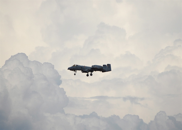 355th Fighter Wing Fairchild A-10 Thunderbolt