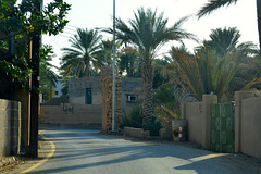 Oman 2013 – Street in Al Araqi