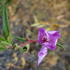 IMG_2820 IMG_2820