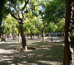 Patio de los Naranjos