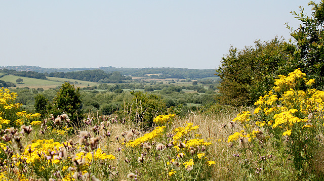 Combe Haven Valley